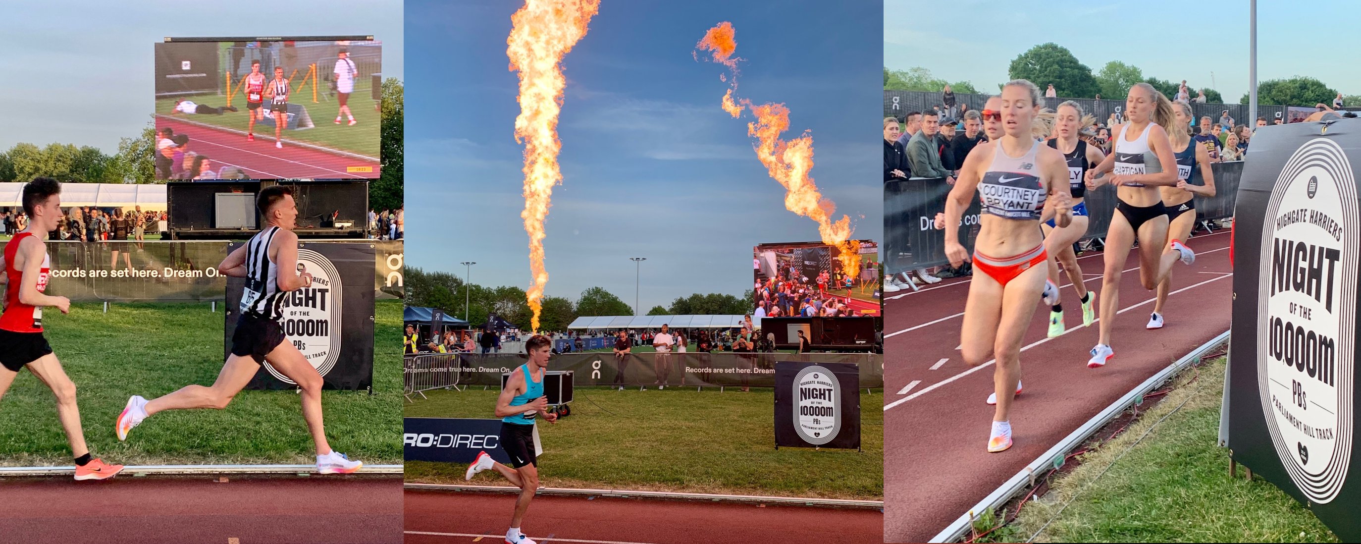 Night of 10000m PBs runners