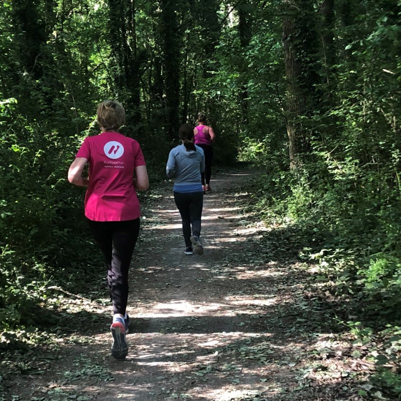 group running on forest trail