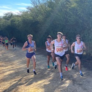 Senior men racing in Seville